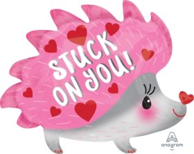 Stuck on you Hedgehog 26 inch Anagram
