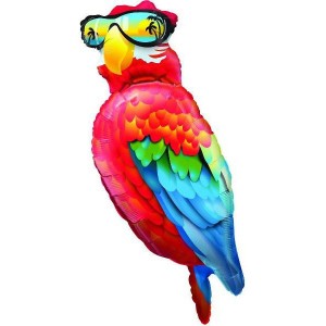 Cool Parrot 50 inch - Qualatex