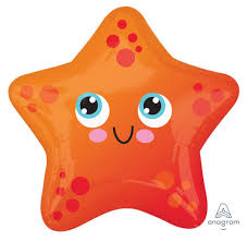 Star Fish Small 17 inch Anagram