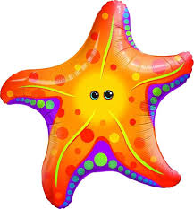 Starfish 30 inch Qualatex