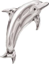 Silver Dolphin 37 inch Anagram