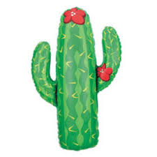 Cactus 41 inch Betallic