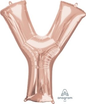 Letter Y Rose Gold Anagram