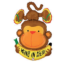 Hang in there Monkey 45 inch Betallic