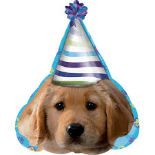 Anagram 18 inch Dog Party Hat foil