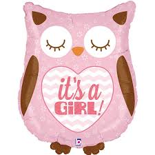 Its a Girl Owl 26 inch Betallic