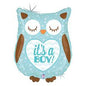 Its a Boy Owl 26 inch Betallic